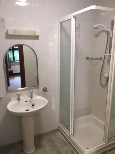 a bathroom with a sink and a shower with a mirror at Ivy House in Galway
