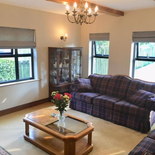 a living room with a couch and a coffee table at Ivy House in Galway