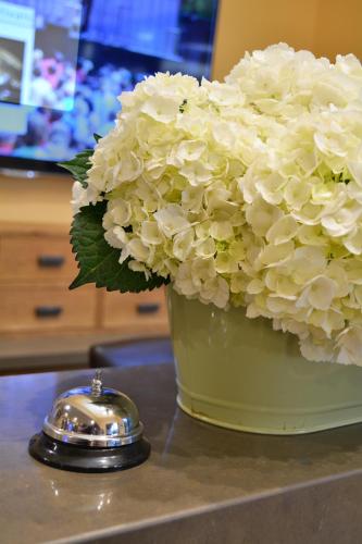 a green vase filled with white flowers on a counter at Casa Ojai Inn in Ojai
