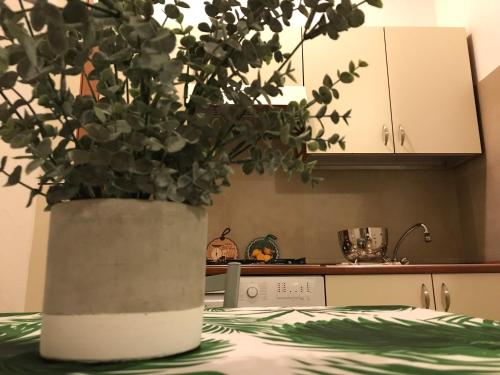 Foto dalla galleria di Appartamenti Affitti brevi Verona / G.B Rossi Friendly a Verona