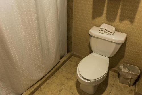 Bagno di Holiday Inn Express Saltillo Zona Aeropuerto by IHG