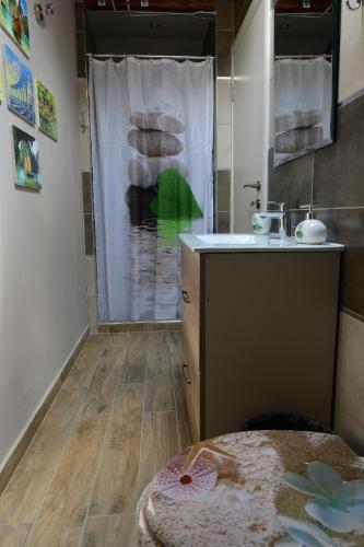 a bathroom with a sink and a shower with a shower curtain at Apartman Rustik in Belgrade