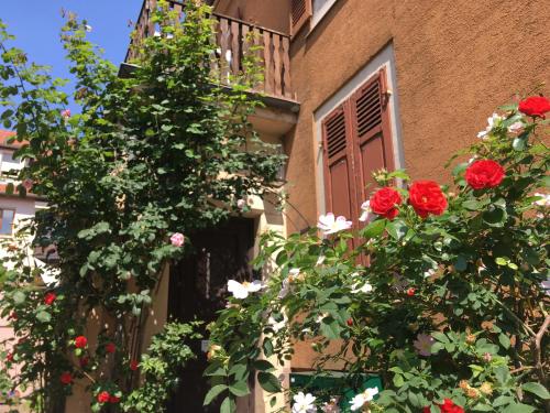 Zahrada ubytování Finala Colmar