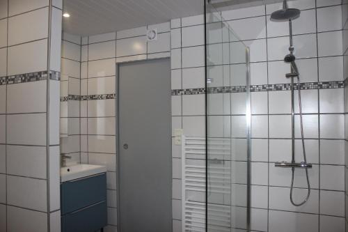 ein Bad mit einer Dusche und einem Waschbecken in der Unterkunft gîte de la core in Clézentaine