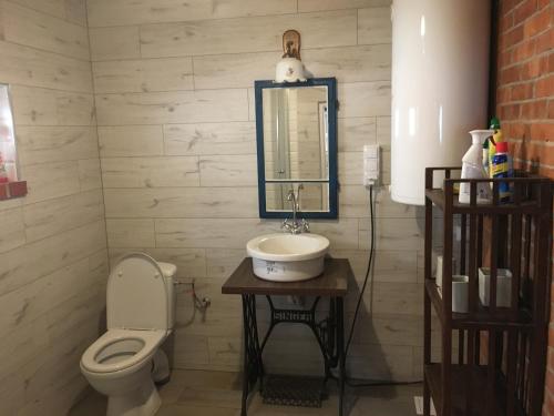 a bathroom with a sink and a toilet at Domek na Podlasiu in Mielnik
