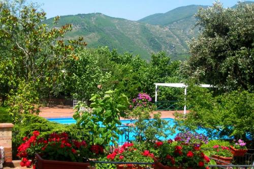 a garden with flowers and a swimming pool at Agriturismo La Casa Del Ghiro in Pimonte