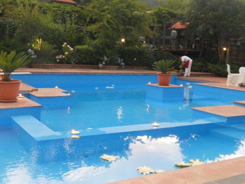 a swimming pool with blue water and plants at Agriturismo La Casa Del Ghiro in Pimonte