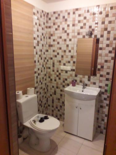un baño con inodoro y lavabo en Laisves al. 7, en Kaunas