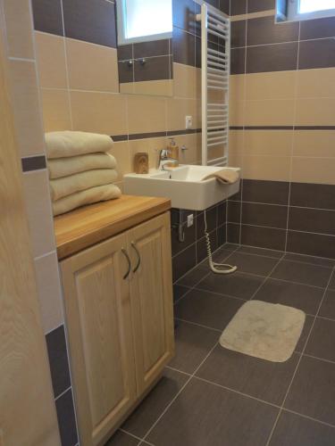 Koupelna v ubytování Apartman Razula