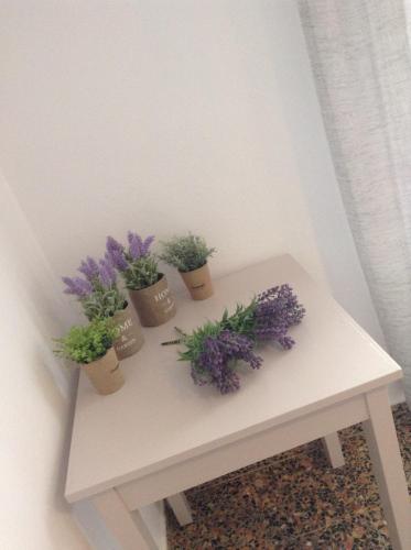 Φωτογραφία από το άλμπουμ του Pansion Kaloyiannis στο Πατητήρι