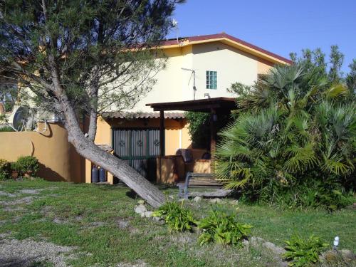 a house with a palm tree in front of it at Casa S'Arriali in Iglesias
