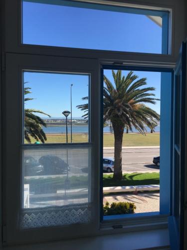 a window with a view of a palm tree at M Costa Nova in Costa Nova