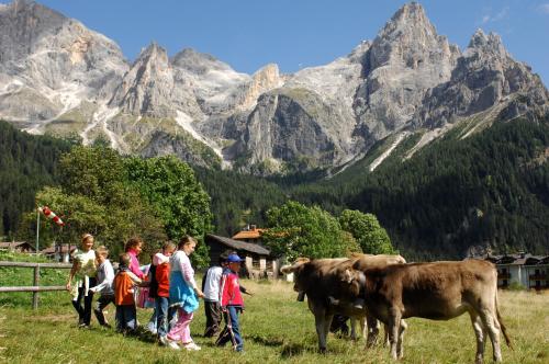 a group of children standing in a field with cows at Sporting Aparthotel in San Martino di Castrozza
