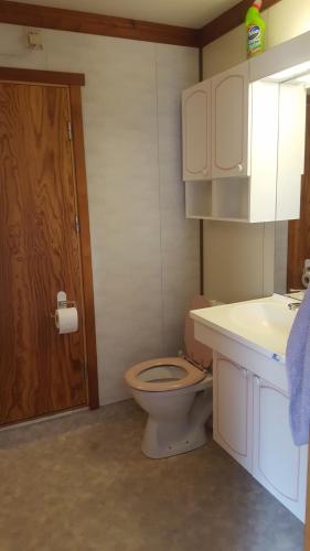 a bathroom with a toilet and a sink at Opslidre Apartment in Vollen