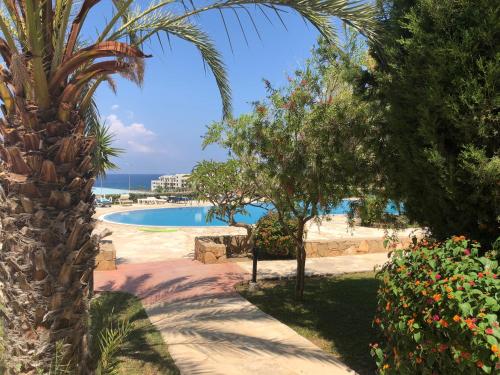 Swimmingpoolen hos eller tæt på Kings Palace - fabulous pool-side 2 bed apartment