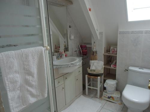 Koupelna v ubytování Chambre d'Hôtes Broualeuc