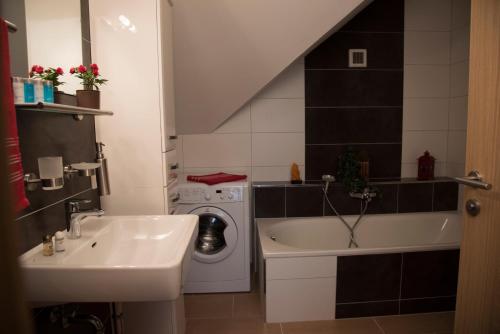 a bathroom with a sink and a washing machine at Langs Wirtshaus in Sankt Ulrich im Mühlkreis