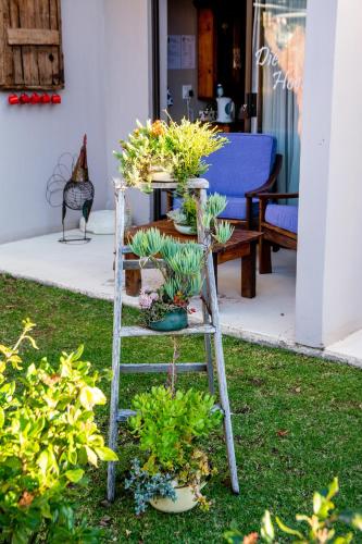a ladder filled with potted plants in a yard at Mirabel Guesthouse in Parys