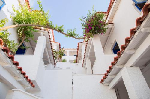 Fotografie z fotogalerie ubytování Hotel Elena Syvota v destinaci Sivota