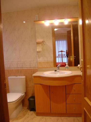 a bathroom with a toilet and a sink and a mirror at Apartamentos Pirineos Ordesa II in Aínsa