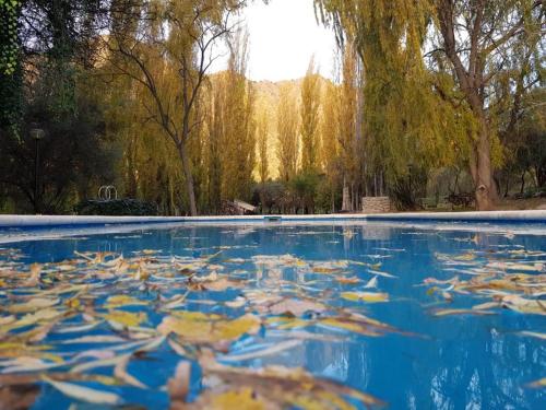 Het zwembad bij of vlak bij Finca La Media Luna