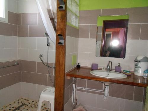 una persona que toma una foto de un baño con lavabo en Domisiladore en Le Molay-Littry