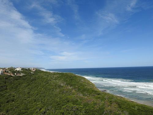 a grassy hill next to the ocean with houses on it at Wilderness Beach Views in Wilderness