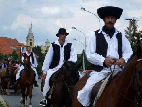 a group of men riding horses down a street at Rézkakas Fogadó in Zirc