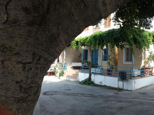 a building with a tree in front of it at Stan&Family in Kalavárda
