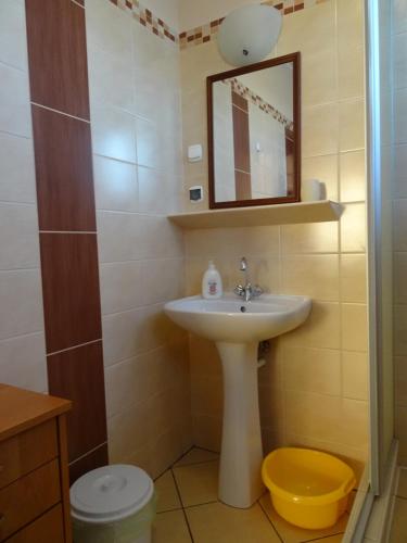 スバジェボにあるPokoje gościnne Olkaのバスルーム(洗面台、鏡付)