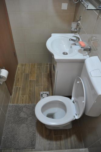 a bathroom with a white toilet and a sink at Ostroške grede in Nikšić