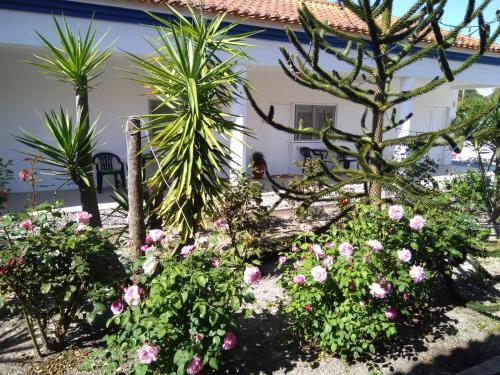 a garden in front of a house with flowers at Casa Zanzibar Hotel in Landeira