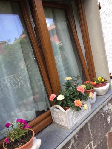 un groupe de fleurs assis sur un rebord de fenêtre dans l'établissement Il Ghiro B&B, à Riccò del Golfo di Spezia