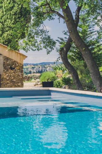 une piscine bleue avec un arbre en arrière-plan dans l'établissement Maison Sadina, à Séguret