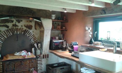 a kitchen with a sink and a stone oven at la vigneraie in Seigy