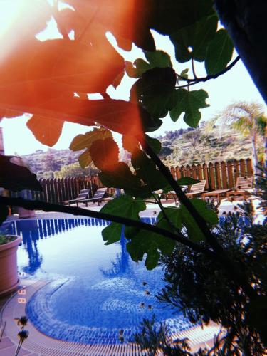 a view of a swimming pool with the sun shining at Castello in Valguarnera Caropepe