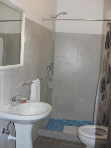 a bathroom with a shower and a sink and a toilet at Quinta do Belo-Ver Turismo de Habitacao in Belver