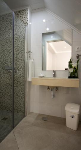 a bathroom with a shower and a sink and a mirror at Ferhouse Dreams Pátria in Nazaré