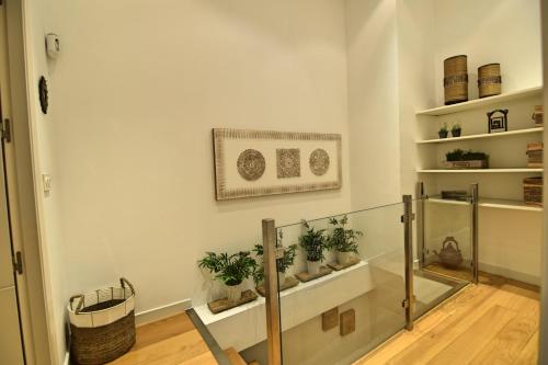 a living room with potted plants on shelves at Apt. El Escondite, Centro Histórico in Málaga