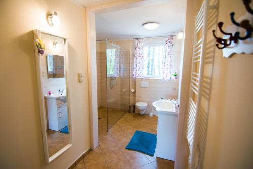 a bathroom with a shower and a sink and a toilet at Miła Przystań in Książnik