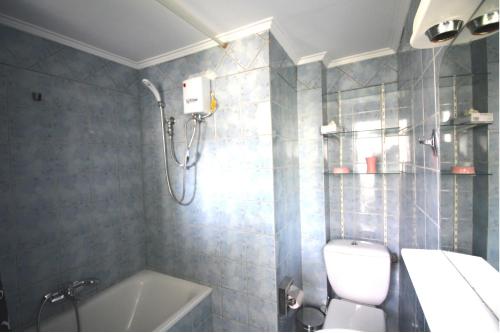 a bathroom with a toilet and a bath tub at Dimitris Flat in Neoi Epivates