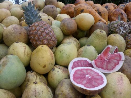a pile of fruit with slices of fruit at Riviera Punta Cana Eco Travelers in Punta Cana