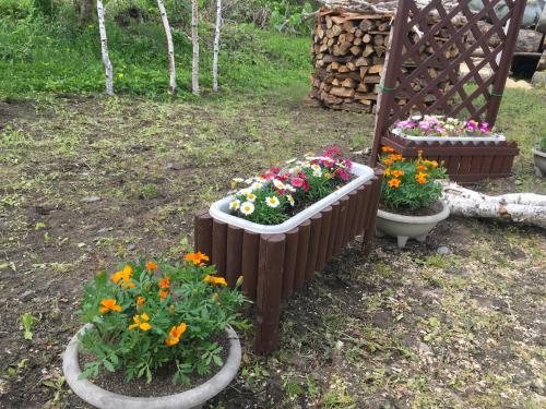 two planters with flowers in them in a yard at Santari in Shintoku