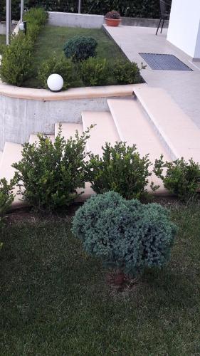 a garden with bushes and a white ball on the ground at B&B OLGANNA con Parcheggi privati in Vasto