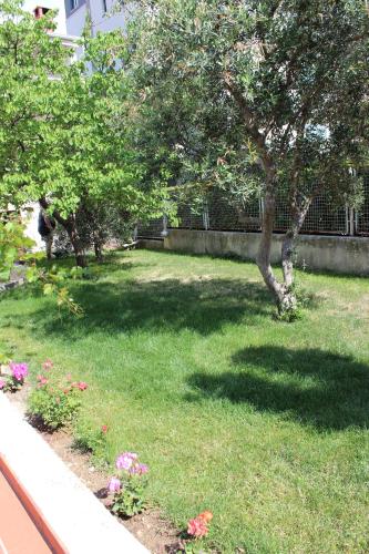 Gallery image of Apartments Gassner in Split