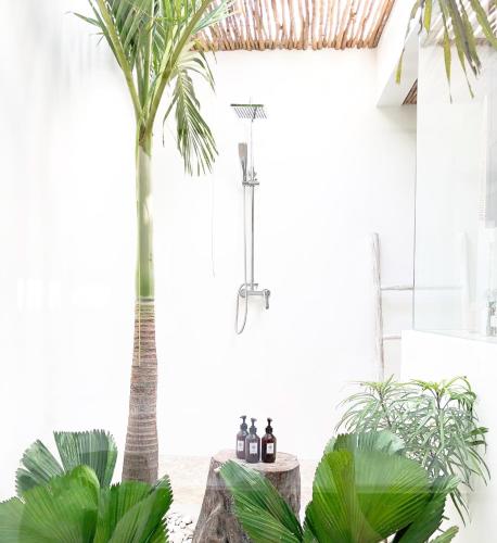 a palm tree in a bathroom with plants at Beyond Bungalows in Canggu