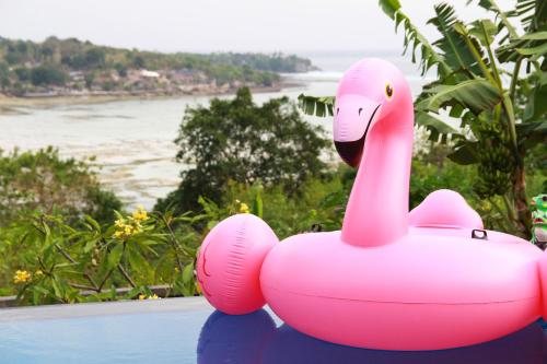 a pink swan toy sitting on top of a pool at Bukit Permata Lembongan in Nusa Lembongan