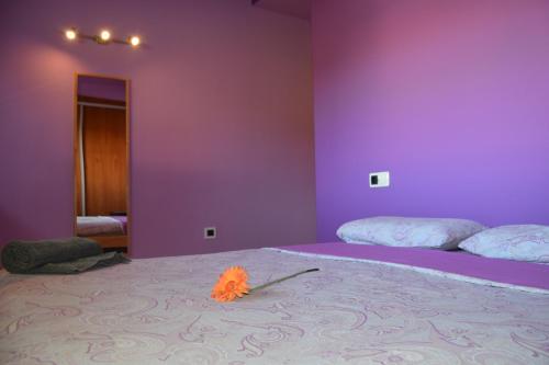 サロウにあるSHG SALOU WiFi Free and Netflixの紫の壁のベッドルーム1室(ベッド2台付)