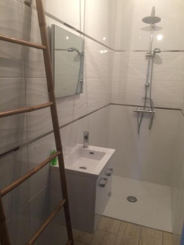 une salle de bain blanche avec un lavabo et un miroir dans l'établissement Villa du jardin des plantes 56 Rue Prémartine, au Mans