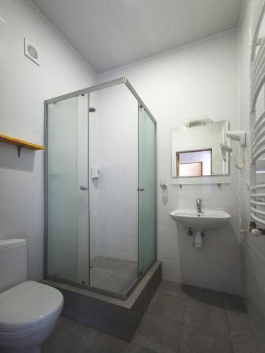 a bathroom with a shower and a toilet and a sink at Vovk Gasthaus in Sinyak